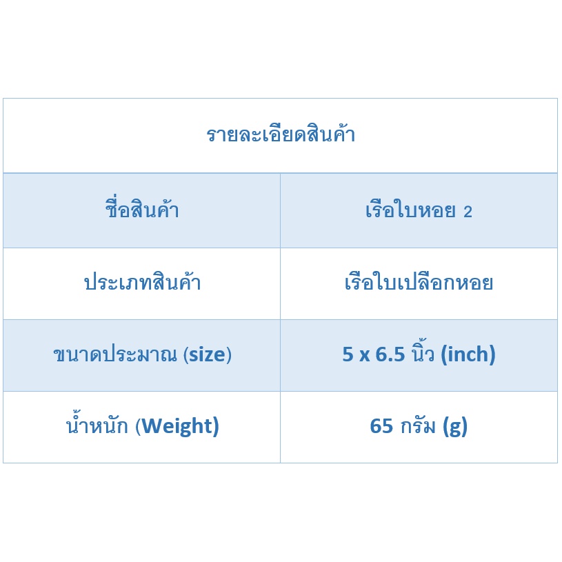 andaman-seashell-เรือใบหอยกาบ-2