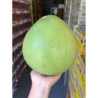 ส้มโอขาวน้ำผึ้ง พิจิตร photo