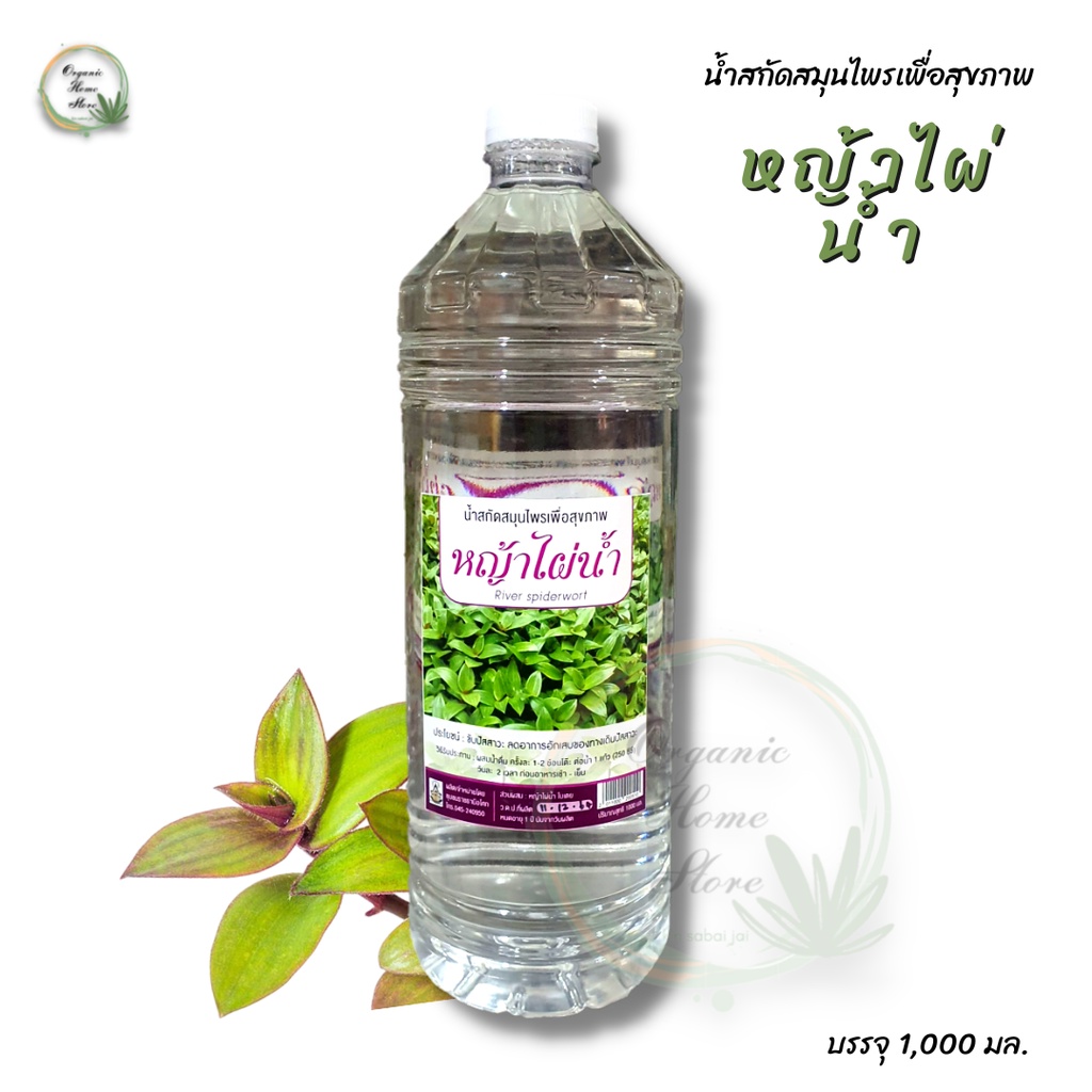 น้ำสกัดสมุนไพร-หญ้าไผ่น้ำ-เพื่อสุขภาพ-ปริมาณ-1-000-มล