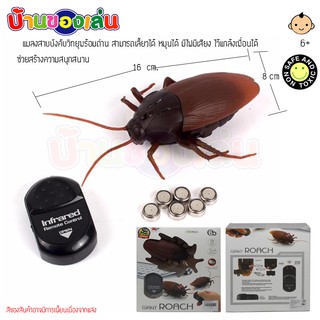 BKLTOY บังคับวิทยุ แมลงสาบ SINFRAED REMOTE CONTROL GIANT ROACH แมลงสาบ บังคับวิทยุ พร้อมถ่าน ZT009