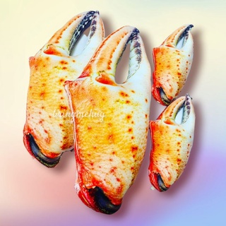 หมอนก้ามปู เนื้อแน่นๆ สดๆจากทะเล ยกมาไว้ในห้องนอนกันเลย Crab Claws Cushion