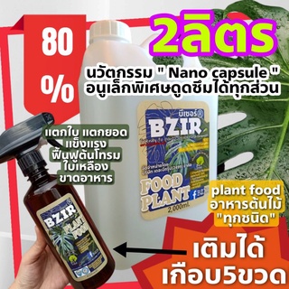 plant food เกิดตา แตกยอด ใบอ่อน ติดผล ป้องกันโรค &amp; แมลง ความตึงเครียดทุกสภาพอากาศ Bzir® อาหารต้นไม้ บำรุงต้นไม้ทุกชนิด