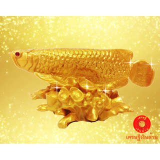 🀄 ปลามังกรทองอุดมโชคทรัพย์อนันต์ 🀄