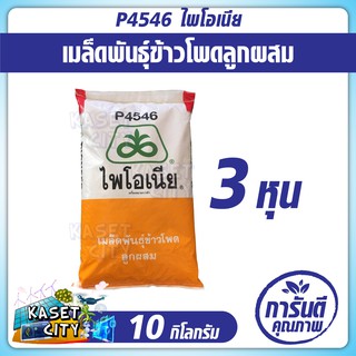 ข้าวโพดเลี้ยงสัตว์  ไพโอเนีย P4546 (3หุน) น้ำหนัก 10 กก. ข้าวโพด เมล็ดพันธุ์  เมล็ดผัก