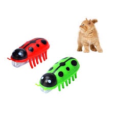 cat-accessories-แมลงโรบอตวิ่งอัตโนมัติ-ของเล่นแมว-ของเล่นแมวราคาถูก-มีถ่านแถมพร้อมเล่น-มีให้เลือก2สี