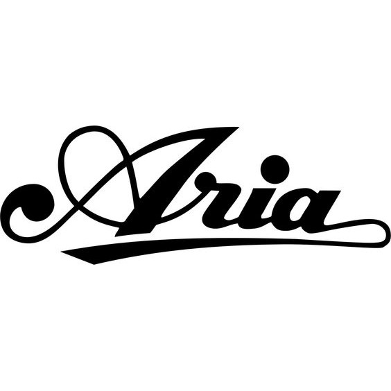 aria-101-กีตาร์โปร่งยี่ห้อ-aria-รุ่น-101-เสียงดีสเป๊กดีมาก