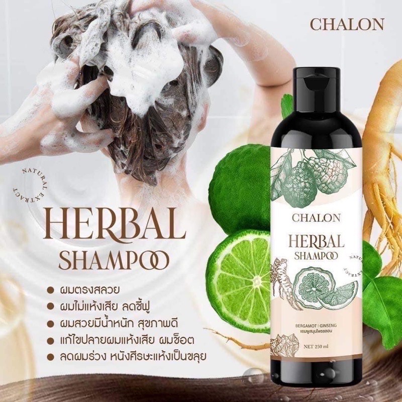 แชมพูชลอน-แชมพูมะกรูดชลอน-แชมพู-ทรีทเม้นท์-chalon-herbal-ชลอน-เฮอร์เบิ้ล