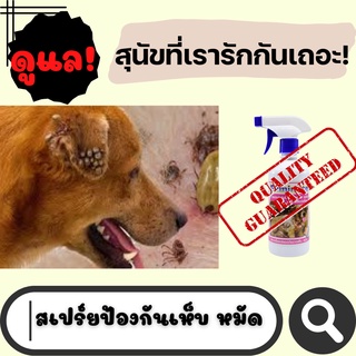 สเปร์ยป้องกันเห็บ สเปร์ยเห็บหมา ป้องกันสุนัขตัวโปรด เห็นผลชัดเจน สเปรย์เห็บหมัด สเปรย์ฉีดเห็บหมัด สเปรย์ฉีดเห็บ