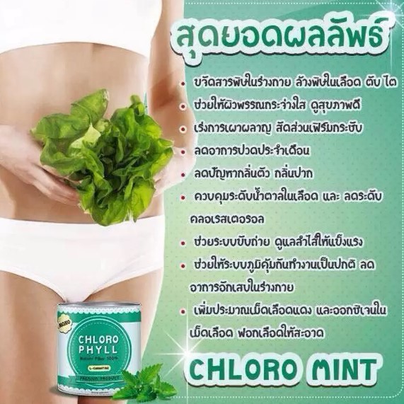 chloro-mint-คลอโรมิ้นต์-ผลิตภัณฑ์เสริมอาหารคลอโรฟิลล์-ล้างสารพิษในร่ายกาย-100กรัม