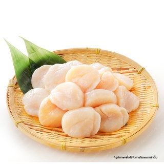 สินค้า เนื้อหอยเชลล์ญี่ปุ่นซาชิมิ (ทานดิบได้) 190-210 กรัม Japanese Scallop (Sashimi Grade) 190-210 g - Natural Coast