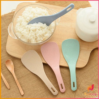 ทัพพีตักข้าว ข้าวไม่ติดทัพพี ทำจากฟางข้าวสาลี   wheat straw spoon