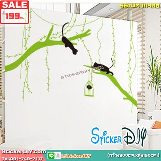 SALE! Bigsize Transparent wall sticker สติ๊กเกอร์ติดผนัง แมวเหมียวเฝ้าดูกรงนก(กว้าง200cm.xสูง150cm.)