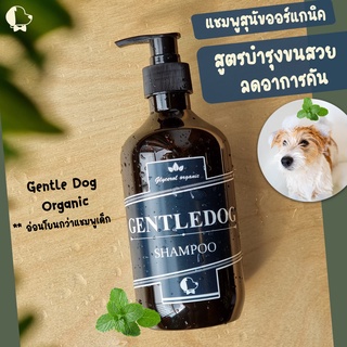 ภาพหน้าปกสินค้าGentle Dog Organic Shampoo แชมพูสุนัขสูตรขนสวย ลดอาการคัน ที่เกี่ยวข้อง