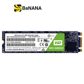 WD SSD M.2 240GB R540MB/s R405MB/s Green 3 Year by Banana IT