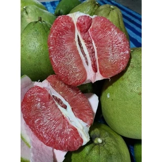 ส้มโอทับทิมสยามปากพนัง ตัดสดตามออเดอร์ ชาวสวนขายเอง photo