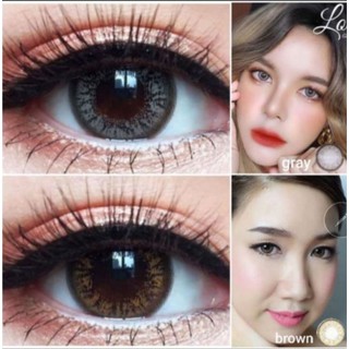 💟 Lolita ( Barbara ) Pitchylens Wink brown gray Contactlens บิ๊กอาย คอนแทคเลนส์ ราคาถูก ฟรีตลับ