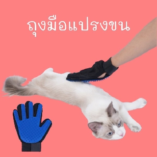 ถุงมือยางแปรงขน หวี รูด แมว หมา สุนัข สัตว์ เลี้ยง สีน้ำเงิน cat dog pet glove grooming brush