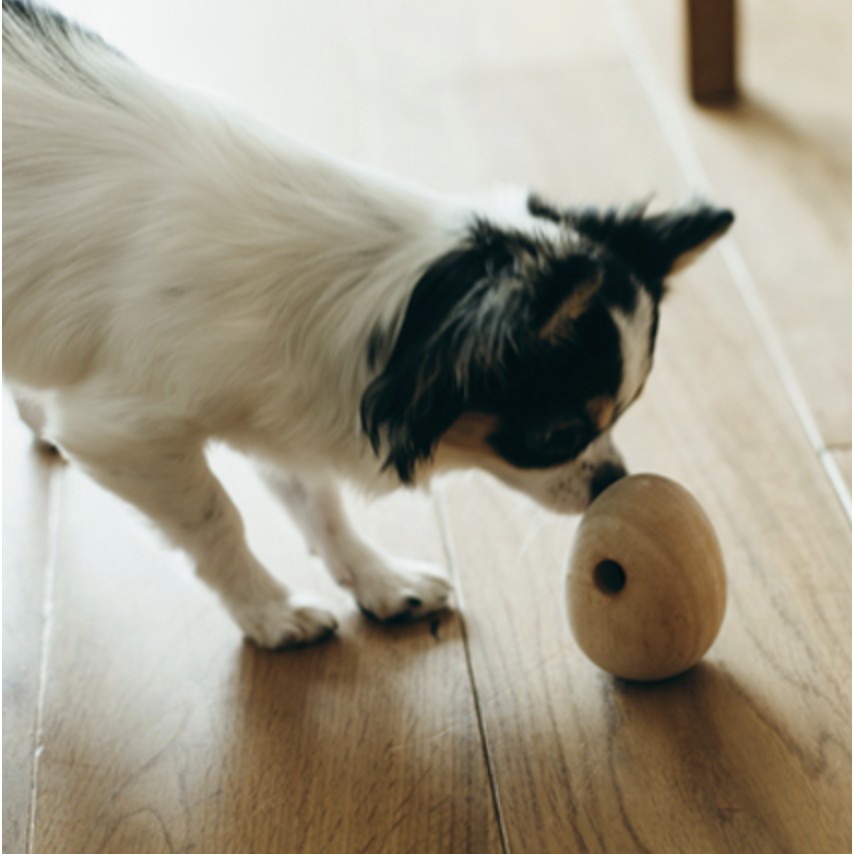 ภาพสินค้าของเล่นสุนัขเสริมทักษะ จากไม้มะม่วง Tamagohan เเบรนด์ Replus จากญี่ปุ่น จากร้าน ketawapet บน Shopee ภาพที่ 5