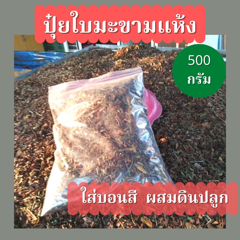 ใบมะขามหมัก-ล้วนๆ-ใบมะขามเก่า-ตากแห้ง-500-กรัม-ปุ๋ยใบมะขาม-ใบมะขามแห้ง-ใบมะขามบอนสี-ปุ๋ยใบมะขามหมัก-บอนสี-และ-โกสน