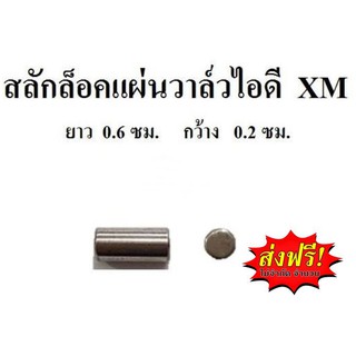 **ส่งฟรี** สลักล๊อกแผ่นวาล์ว อะไหล่ปั๊มลมพูม่า แบบโรตารี่ รุ่น XM