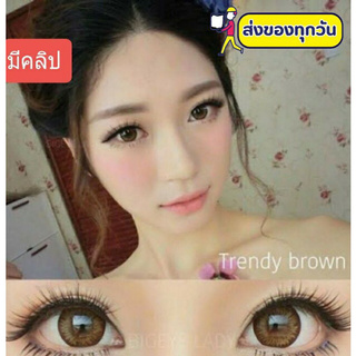 💟 Trendy ( Cherry ) Pitchylens Wink  Pretty Doll Lollipop brown gray Contactlens บิ๊กอาย คอนแทคเลนส์ ราคาถูก แถมตลับฟรี