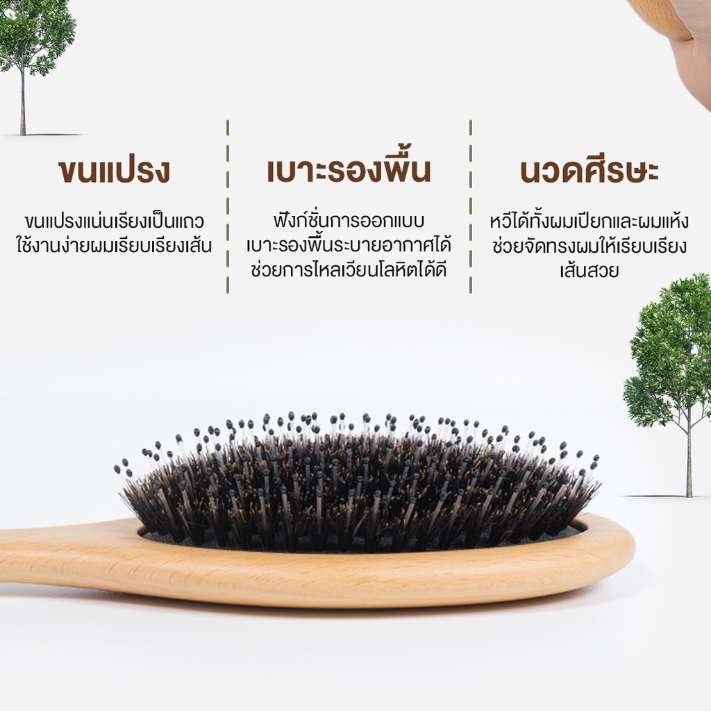 ลองดูภาพสินค้า Haxon Boar-Bristle Hair Brush หวีขนหมูป่าแท้ ขนหมูอัดแน่น หวีลดผมร่วง ช่วยให้ผมเงางาม แก้ผมพันกัน นวดหนังศีรษะ