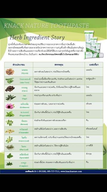 knack-nature-herbapeutic-toothpaste-40g-และ-100g-ยาสีฟัน-แนค-เนเจอร์-40กรัม-และ-100กรัม