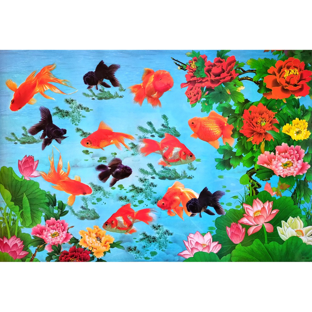 โปสเตอร์-รูปวาด-ปลาทอง-ปลามงคล-ภาพมงคล-เสริมฮวงจุ้ย-goldfish-poster-24-x35-inch