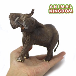 Animal Kingdom - โมเดลสัตว์ ช้างแอฟริกา ขนาด 20.00 CM (จากหาดใหญ่)