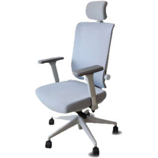 [ออก E-TAX ลดหย่อนภาษีได้] [ใส่โค้ดรับเงินคืน 1,000 coins] Bewell Ergonomic Chair รุ่น Esteem เก้าอี้ทำงาน เก้าอี้เพื่อสุขภาพ ตอบโจทย์คนรูปร่างใหญ่ ปรับแรงต้านพนักพิงหลังได้ มี Lumbar support ที่วางแขนปรับได้ 4D รับน้ำหนัก 136 kg.