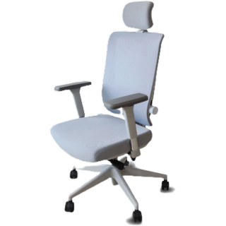 [ใส่โค้ดรับเงินคืน 1,000 coins] Bewell Ergonomic Chair รุ่น Esteem เก้าอี้ทำงาน เก้าอี้เพื่อสุขภาพ ตอบโจทย์คนรูปร่างใหญ่ ปรับแรงต้านพนักพิงหลังได้ มี Lumbar support ที่วางแขนปรับได้ 4D รับน้ำหนัก 136 kg.