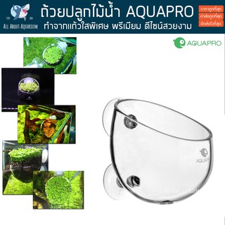 AQUAPRO Crystal Glass Polka Pot ถ้วยแก้ว ปลูกไม้น้ำ ใสพิเศษ 63cm. ตู้ไม้น้ำ พรรณไม้ ต้นไม้น้ำ ตู้ปลา ปลาสวยงาม ถ้วยปลูก