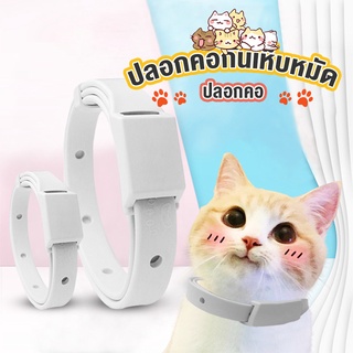 ภาพหน้าปกสินค้าNo.99 ปลอกคอแมว🐱 ปลอกคอสุนัข🐶 ปลอกคอกำจัดเห็บ หมัด ปลอกคอกําจัดหมัดเห็บ ปลอกคอป้องกันหมัด สุนัข และแมว😺 ซึ่งคุณอาจชอบราคาและรีวิวของสินค้านี้