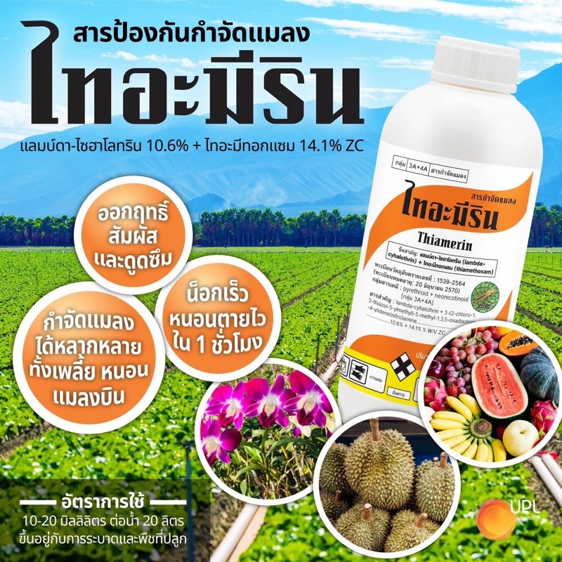 ไทอะมีริน-สารตัวเดียวกับเอฟโฟเรีย-ขนาด-500-ซีซี-แลมป์ดาไซฮาโลทริน-ไทอะมีทอกแซม