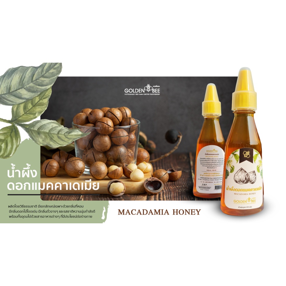 ภาพหน้าปกสินค้าน้ำผึ้งดอกแมคคาเดเมีย 370g. MACADAMIA HONEY แบรนด์ Golden Bee จากร้าน phatthanakit_bee_farm บน Shopee