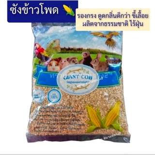 ภาพขนาดย่อของสินค้าซังข้าวโพด Giant Cob รองกรง สำหรับ นก หนู กระต่าย แกสบี้ แฮมสเตอร์ เม่น เฟอเร็ท วัสดุรองรัง หนูแฮมเตอร์ (1 kg.)