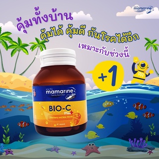 ภาพขนาดย่อของภาพหน้าปกสินค้าMamarine Bio C plus Elderberry 30 แคปซูล มามารีน ไบโอซี พลัส วิตามินซี จากร้าน healthmall88 บน Shopee ภาพที่ 8