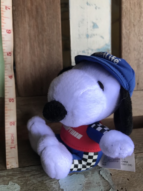 snoopy-ใส่ชุดนักแข่งรถ-น่ารักมากก