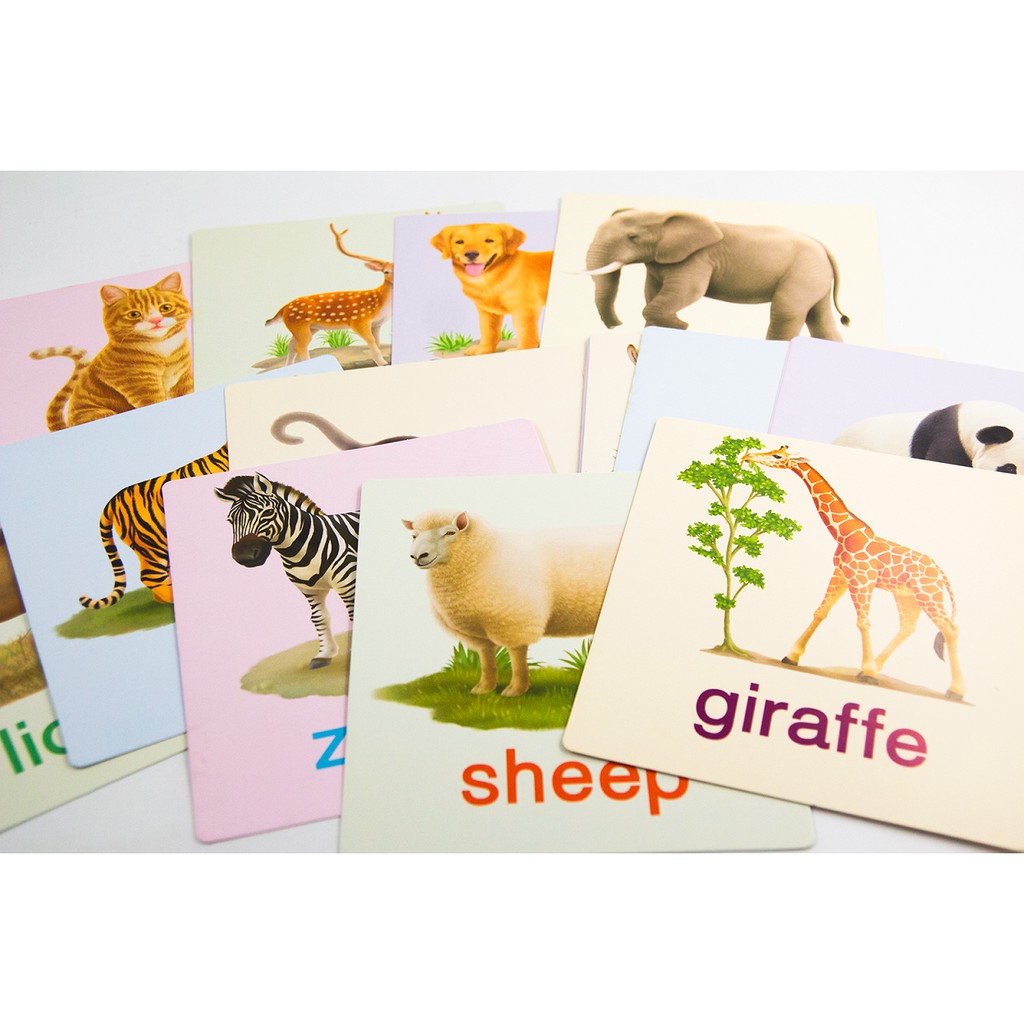 ภาพสินค้าแฟลชการ์ดใบใหญ่  Big Card  การ์ดคำศัพท์ animal  หนูชอบสัตว์น่ารัก  บัตรคำ  ศัพท์พื้นฐานเด็ก จากร้าน dr.babe บน Shopee ภาพที่ 1