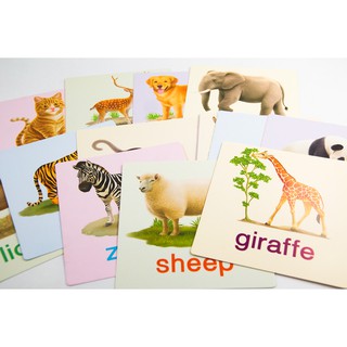 ภาพขนาดย่อของภาพหน้าปกสินค้าแฟลชการ์ดใบใหญ่  Big Card  การ์ดคำศัพท์ animal  หนูชอบสัตว์น่ารัก  บัตรคำ  ศัพท์พื้นฐานเด็ก จากร้าน dr.babe บน Shopee ภาพที่ 1