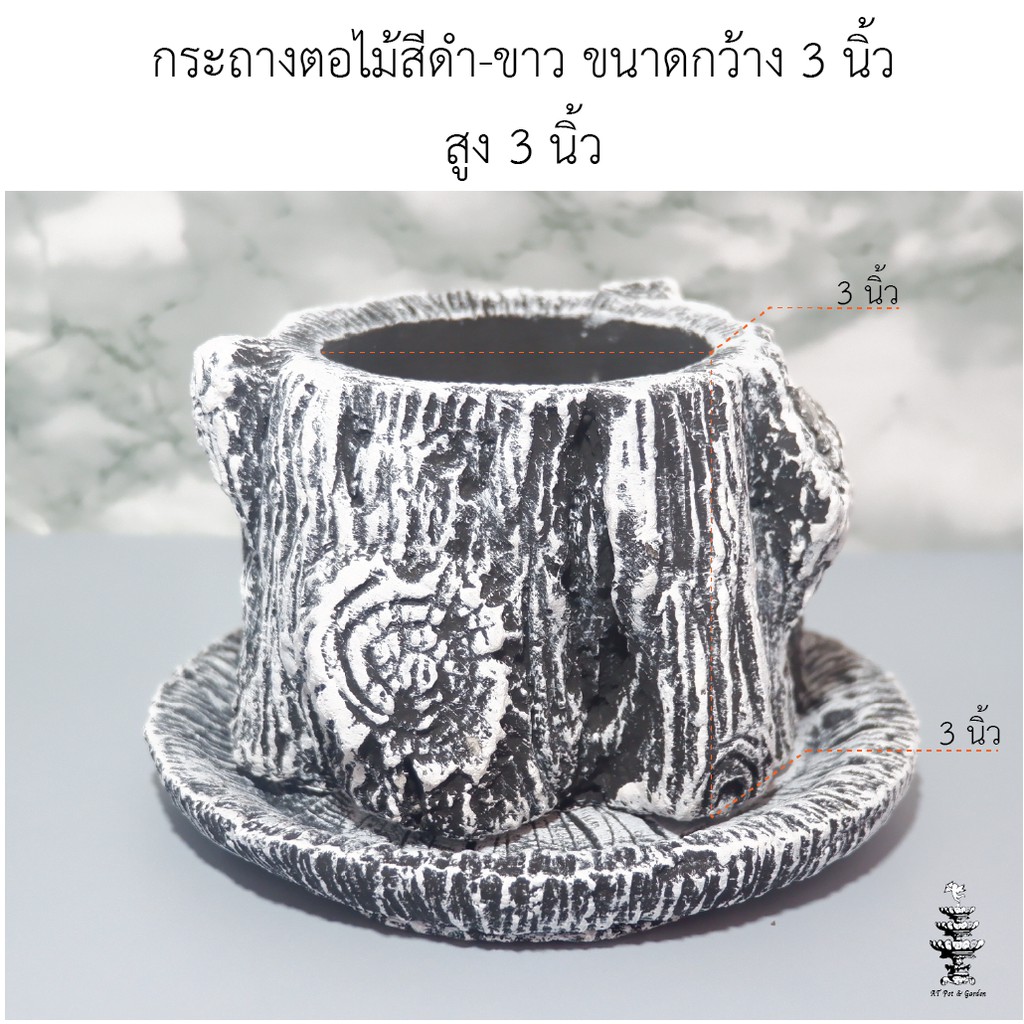 กระถางปูนตอไม้-ขนาด-3-นิ้ว-พร้อมจานรอง-พร้อมจานรอง-ราคาถูกที่สุด