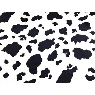 ภาพหน้าปกสินค้าผ้าเมตร ผ้าคอตต้อน 100% ผ้าคอตต้อนวัว ผ้าคอตต้อนญี่ปุ่น ผ้าลายวัว หน้ากว้าง 45 นิ้ว ที่เกี่ยวข้อง