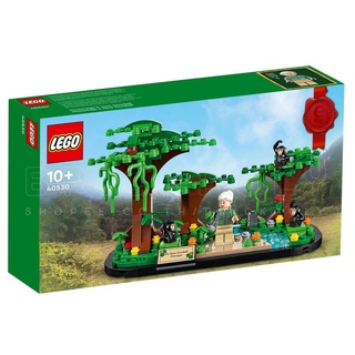 40530 : LEGO Jane Goodall Tribute (สินค้ากล่องไม่สวย)
