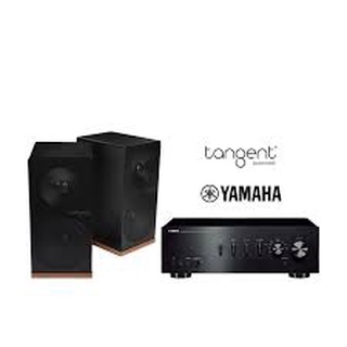 YAMAHA A-S301 + TANENT X5