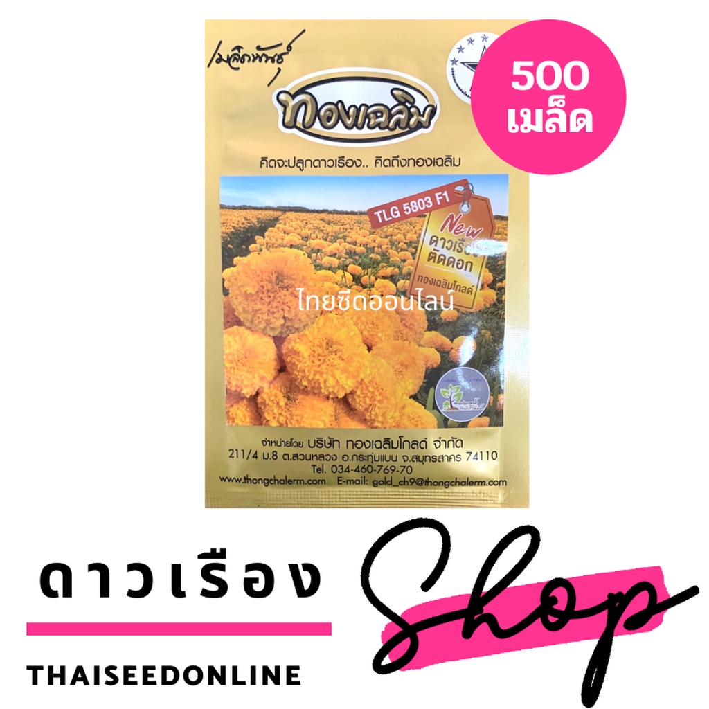 ภาพหน้าปกสินค้าเมล็ดพันธุ์ ดาวเรืองตัดดอก ดาวเรืองทองเฉลิม 5803 500 เมล็ด Marigold Thongchalerm 5803 500Seeds จากร้าน thaiseedonline บน Shopee