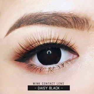 คอนแทคเลนส์ Wink Lens Daisy(Black) ค่าสายตา 0.00 ถึง -5.00