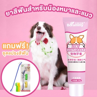 🐶🐱 ยาสีฟันหมาแมว [ฟรีชุดแปรงสีฟัน] ยาสีฟันสุนัข ยาสีฟันแมว ลดหินปูนสะสม ยับยั้งแบคทีเรีย ปริมาณ 120g