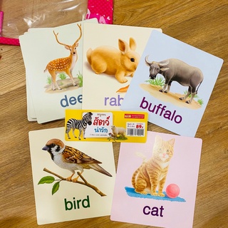 ภาพหน้าปกสินค้าBig card สัตว์ป่ามหาสนุก แฟลชการ์ด Flash Card Animal การ์ดคำศัพท์พื้นฐาน บัตรคำ เสริมพัฒนาการ flashcard สัตว์น่ารัก ที่เกี่ยวข้อง