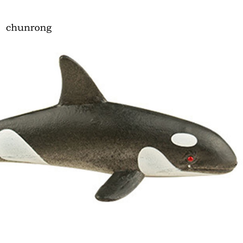 chunrong-ของเล่นสัตว์ทะเล-ขนาดเล็ก-ของขวัญ-สําหรับเด็ก