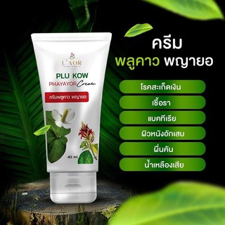 ( ของแท้ 100% ) ครีมพลูคาว พญายอ Plu Kow Phayayor Cream สมุนไพรแก้ กลาก เกลื้อน สะเก็ดเงิน (By. Asta prim แอสต้า พริม)​